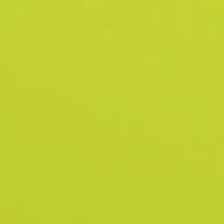 VidaXL Bright Green Oxford Fabric Outdoor/Indoor Chair Cushions - 2 Pack, Water-Resistant, Soft PP Hollow Fiber Filled, Non-Slip With Secure Ropes -All Patio Furniture GUEST 4ef9eb9d d983 419d 97c5 4f35cf776075 1